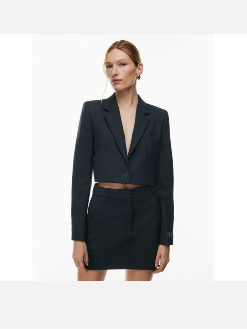 Aritzia Babaton Arbus Cropped Blazer